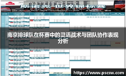 南京排球队在杯赛中的灵活战术与团队协作表现分析